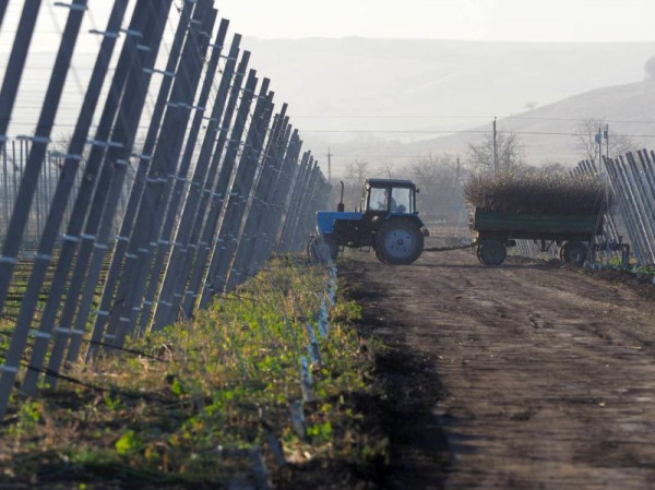 Фермерам Ставрополья поможет развиваться грант Агростартап
